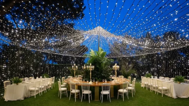 wedding lights manteca